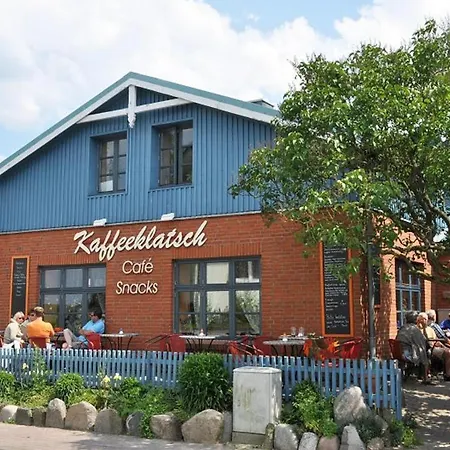Albatros * Stein (Schleswig-Holstein)