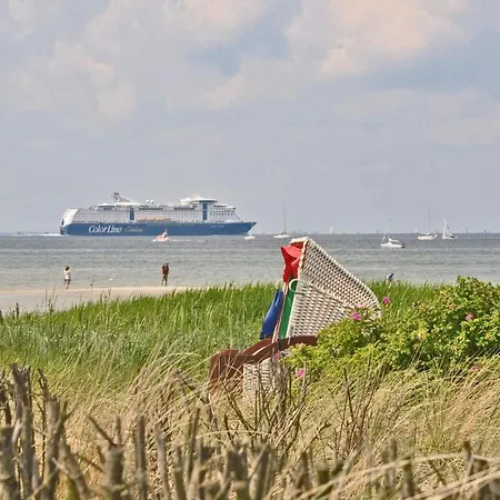 Albatros * Stein (Schleswig-Holstein)